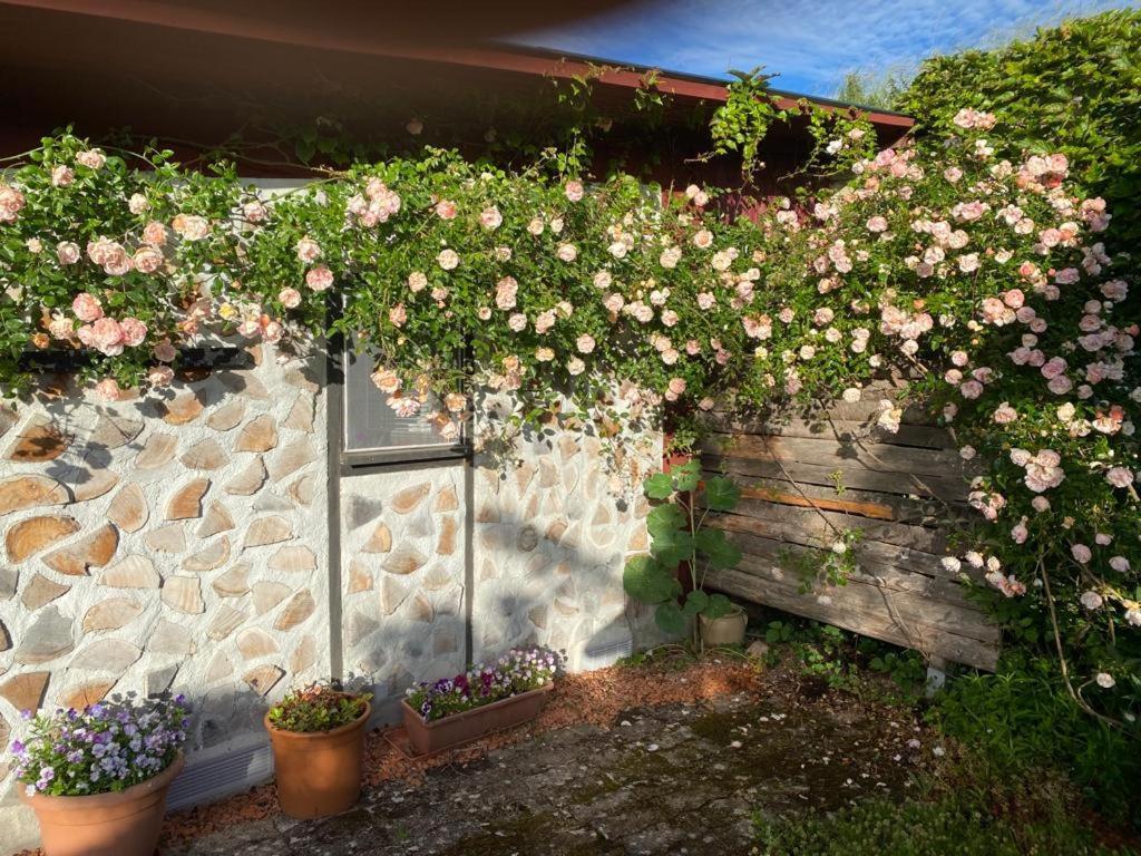 La Maison Du Potager Saint-Racho Экстерьер фото