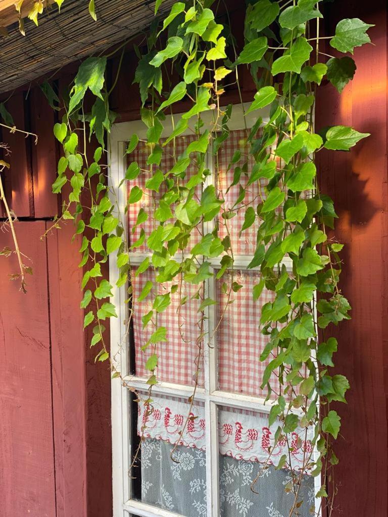 La Maison Du Potager Saint-Racho Экстерьер фото